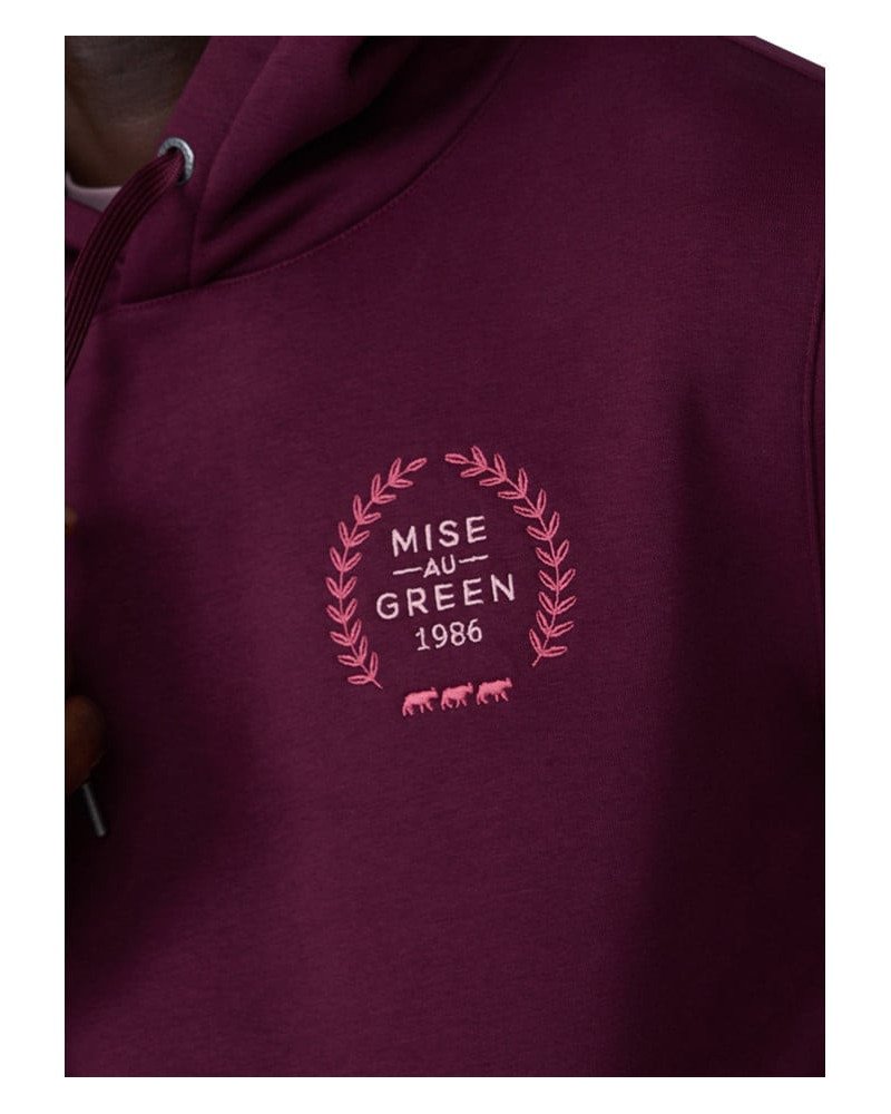 SWEAT homme Hoodie ELISON mise au green